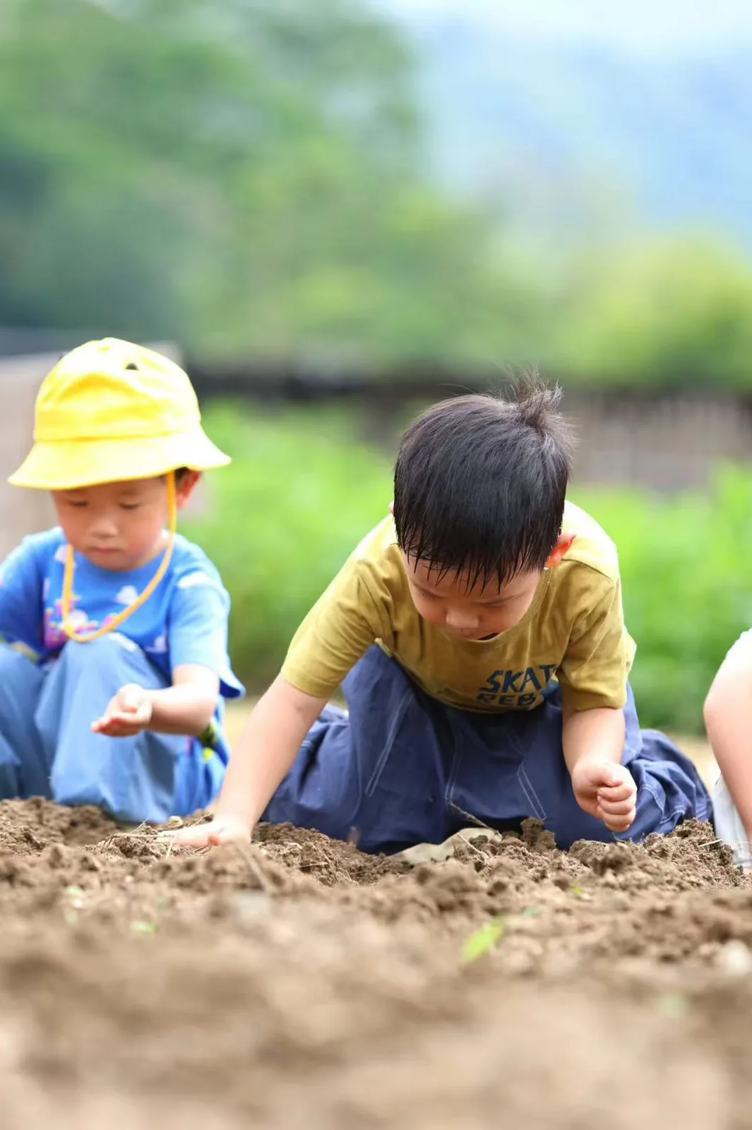 孩子蹲在田里，用双手感受泥土