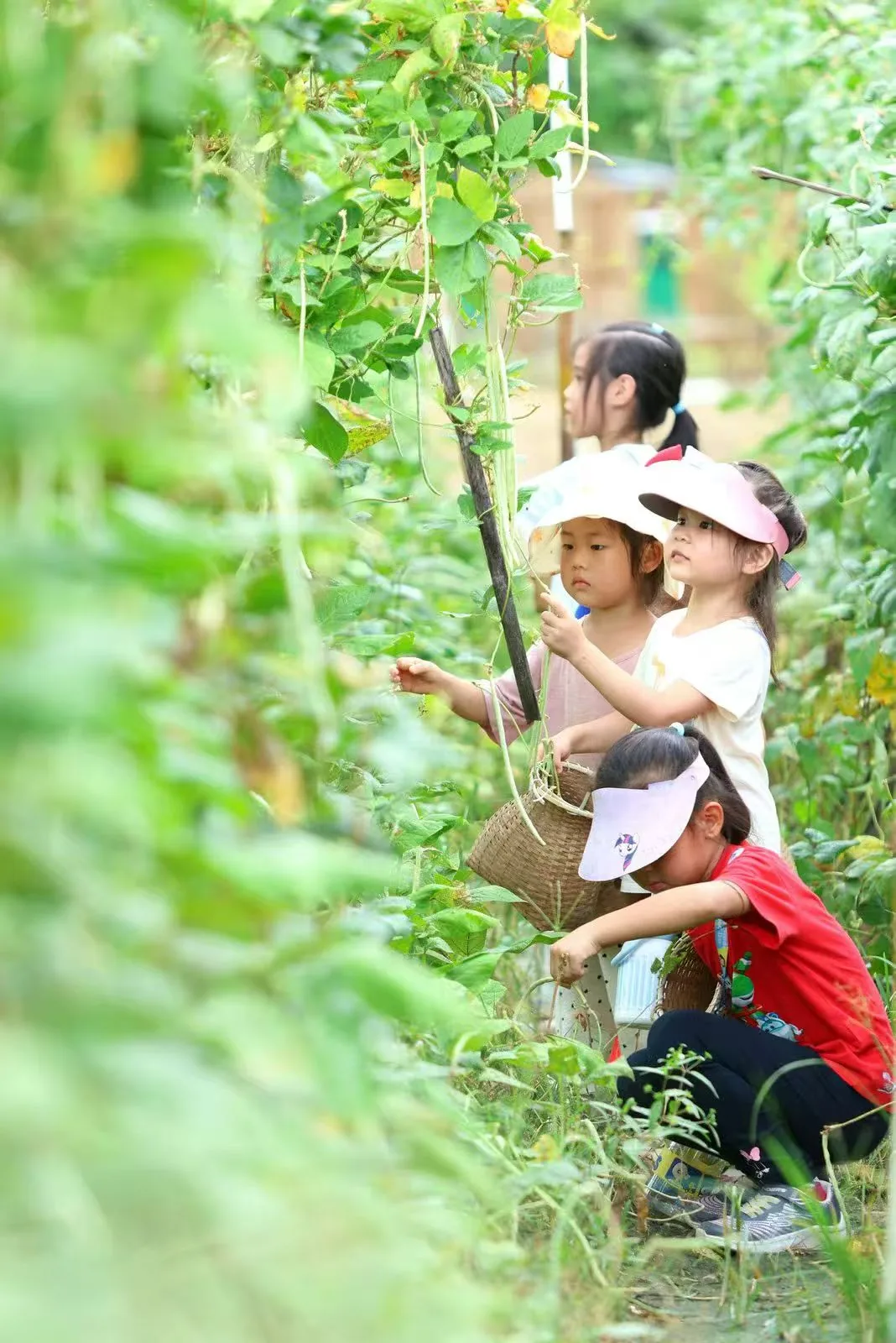 孩子们结伴走进绿色山林，观察自然