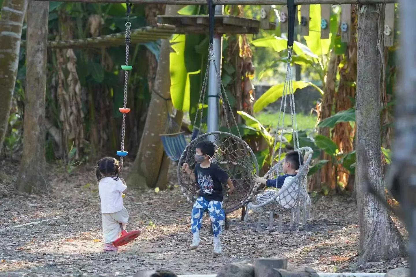 孩子们在林间自然场地自在探索与游戏